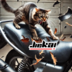 Jiekai Honda Activa 125 Konfor Sele - Visco Süngerli Ergonomik 2023-2025 resmi